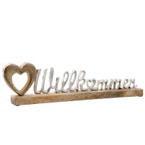 Schriftzug Willkommen, silbermatt, 50 cm