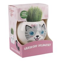 Graskopf Tier, Katze grau