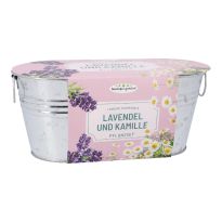 Pflanzset in Wanne, Lavendel/Kamille