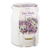 Pflanzset in Milchkanne, Für Dich, 22 cm