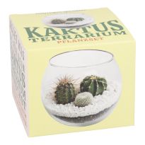Pflanzset Kaktus-Terrarium