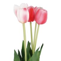 Tulpenstrauß 5 Blüten, hellrosa/pink, 40 cm