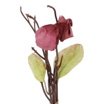 Deko-Stecker Physalis, rot, 16 cm