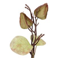 Deko-Stecker Physalis, grün, 16 cm