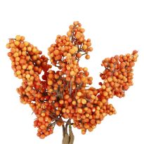 Deko-Stecker Minibeeren, orange, 19 cm