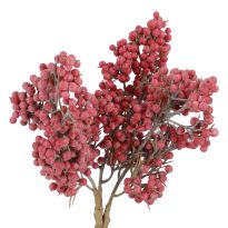 Deko-Stecker Minibeeren, rot, 19 cm