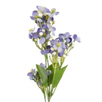 Flieder Edel, lila, 51 cm