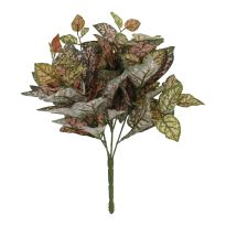 Busch Buntnessel, rosa/grün, 27 cm