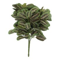 Busch Buntnessel, grün/rot, 27 cm
