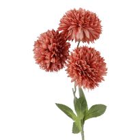 Pompom Herbst mit 3 Blüten, dunkelrosa, 43 cm