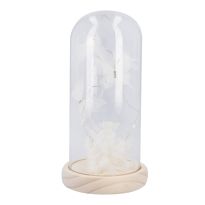 LED-Glocke Schmetterling, wei&szlig;, 22 cm