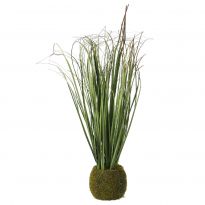 Gras mit Moosballen, grün, 35 cm