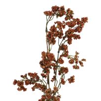 Zweig Minibeeren, braun, 70 cm