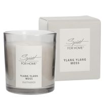 Duftkerze Home, Ylangylang/Moss, 140 g