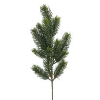 Zweig Edeltanne, 50 cm