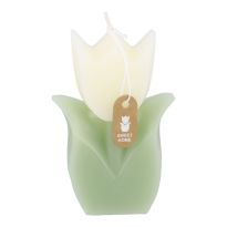 Kerze Tulpe, weiß/grün, 6 x 9 cm