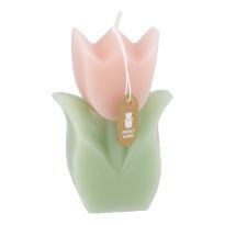 Kerze Tulpe, apricot/grün, 6 x 9 cm