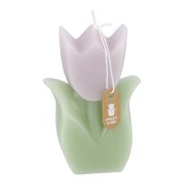 Kerze Tulpe, flieder/grün, 6 x 9 cm