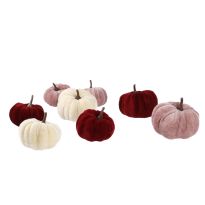 8er Set Kürbis Samt in Tüte, creme/altrosa/weinrot