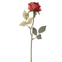 Rose Leonore, pink, 38 cm