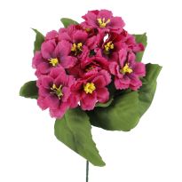 Strauß Primel, 12 Blüten, dunkelrot, 20 cm