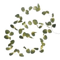 LED-Lichterkette Eukalyptus, 20er
