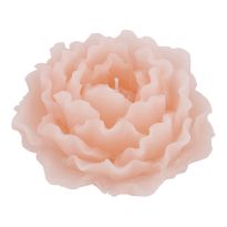 Kerze Rose, rosa, 12 cm