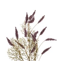 Rispenzweig Herbst, lila, 80 cm