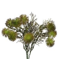 Strauß Minipompoms, grün, 24 cm