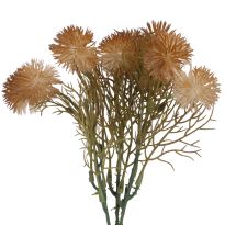 Strauß Minipompoms, hellbraun, 24 cm