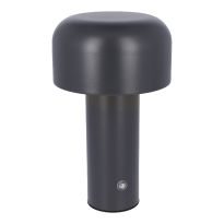LED-Lampe Matt, dunkelgrau, 21.5 cm