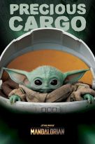Poster The Mandalorian, Nr. 26