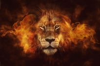 Poster Flaming Lion, Nr. 98