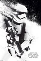 Poster Star Wars Stormtrooper, Nr. 119