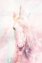 Poster Unicorn Fluffy, Nr. 144