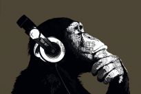 Poster The Chimp - stereo, Nr. 155