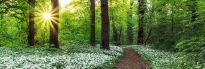 Jumboposter Spring Forest, Nr. 7