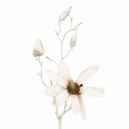 Magnolie, 1 Blüte, champagner, 49 cm