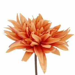 Dahlie Herbst, orange, 27 cm