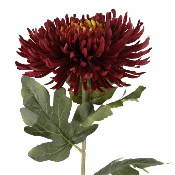 Chrysantheme Edel, lila, 76 cm