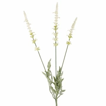Lavendel, 3 Blüten, weiß, 66 cm