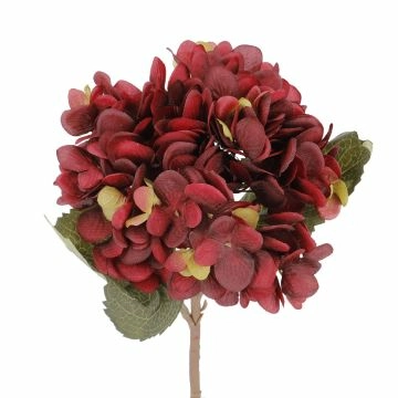 Hortensie Herbst, weinrot, 46 cm