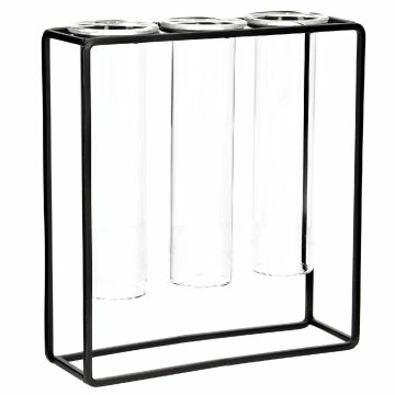 Vasen-Trio, Reagenzglas im Ständer