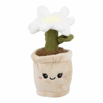 Deko-Topfpflanze mit Gesicht, Margerite, 17 cm