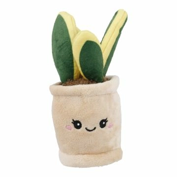 Deko-Topfpflanze mit Gesicht, Schwiegermutterzunge, 16 cm