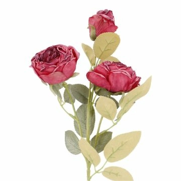 Rose Antik, 3 Blüten, lila, 60 cm