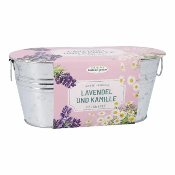 Pflanzset in Wanne, Lavendel/Kamille