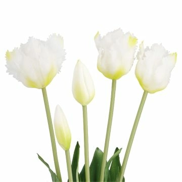 Strauß Papageientulpe, weiß, 41 cm