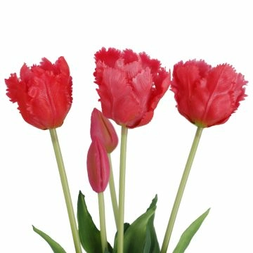 Strauß Papageientulpe, pink, 41 cm