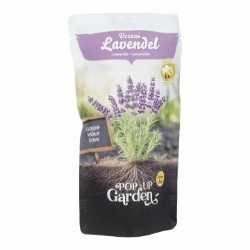 Pflanzsaat im Beutel, Lavendel, 0.3 l